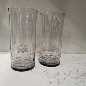 Vintage • Floral Glass Tumblers - Set Of 2